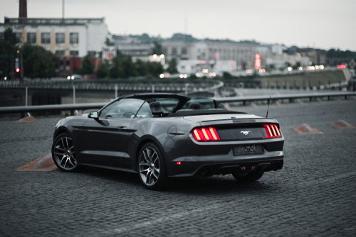 Mustang